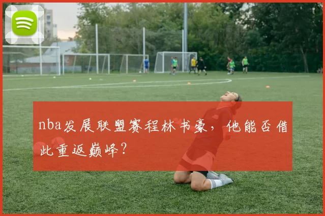 nba发展联盟赛程林书豪，他能否借此重返巅峰？