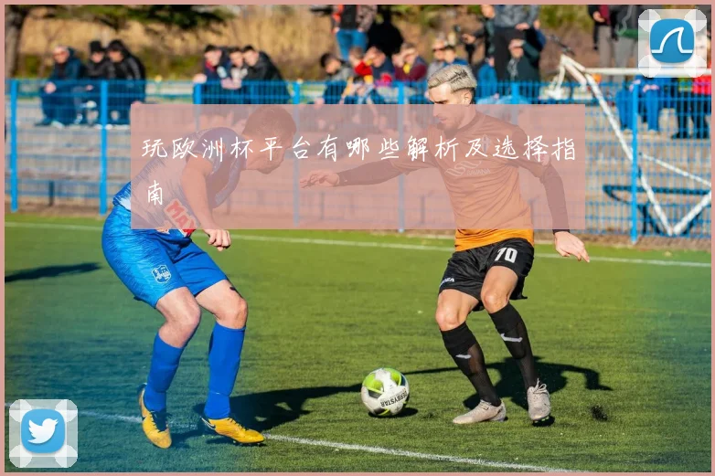 玩欧洲杯平台有哪些解析及选择指南