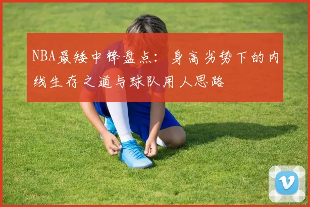 NBA最矮中锋盘点：身高劣势下的内线生存之道与球队用人思路