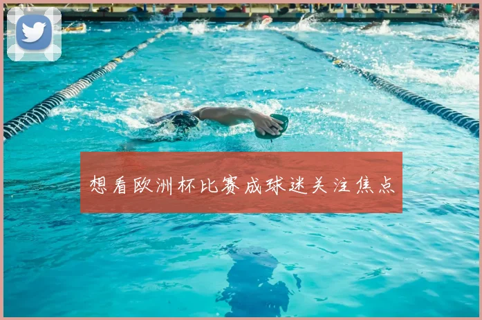 想看欧洲杯比赛成球迷关注焦点