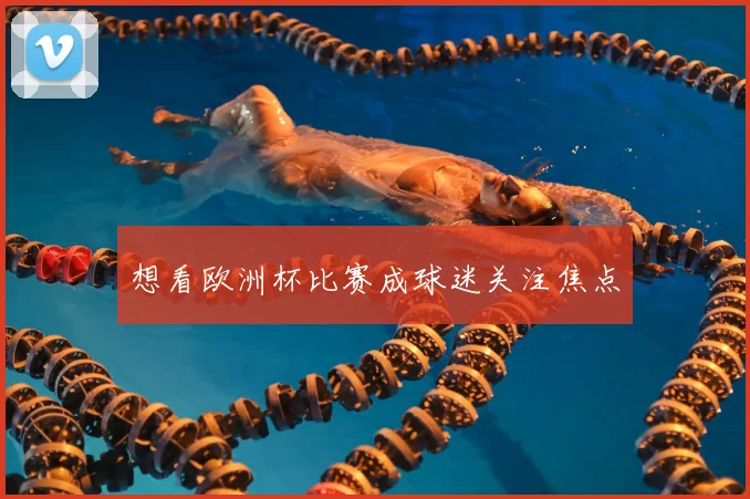 想看欧洲杯比赛成球迷关注焦点