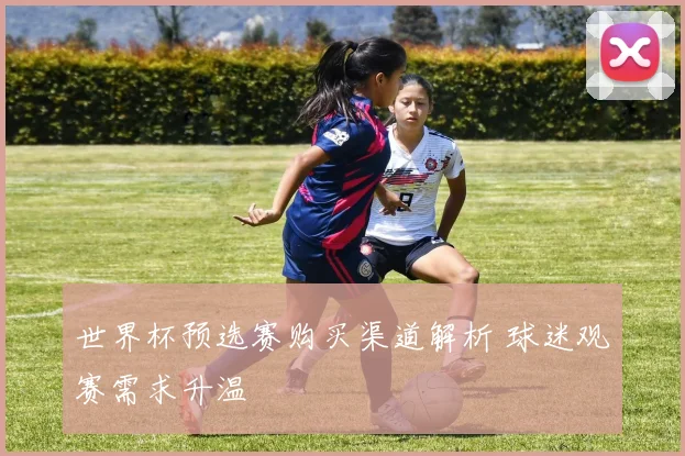 世界杯预选赛购买渠道解析 球迷观赛需求升温