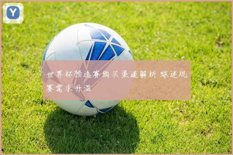 世界杯预选赛购买渠道解析 球迷观赛需求升温